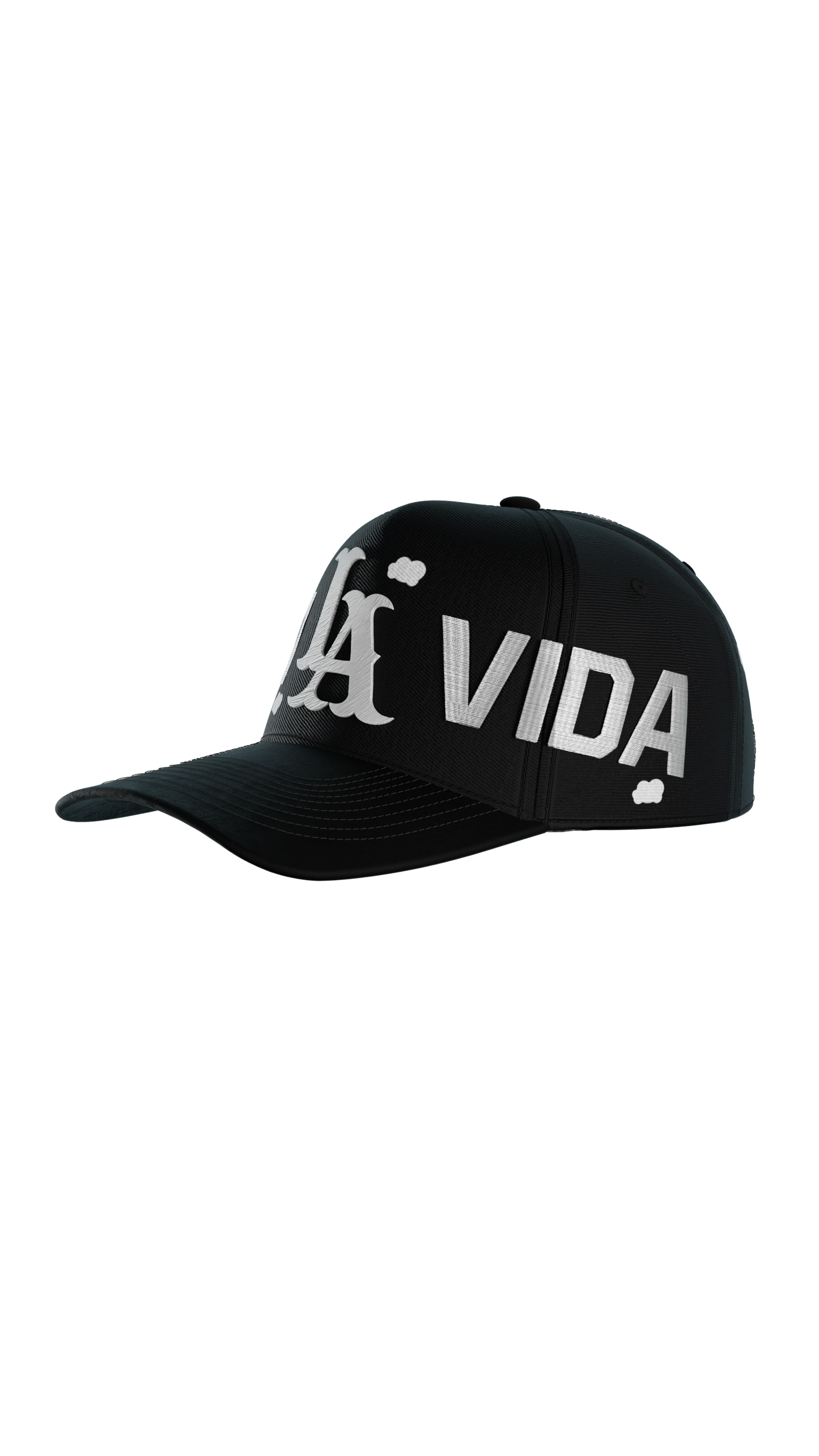 Disfruta La Vida