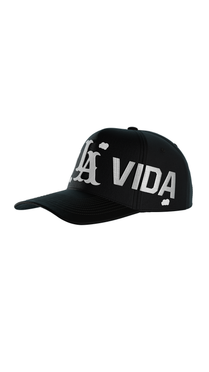 Disfruta La Vida